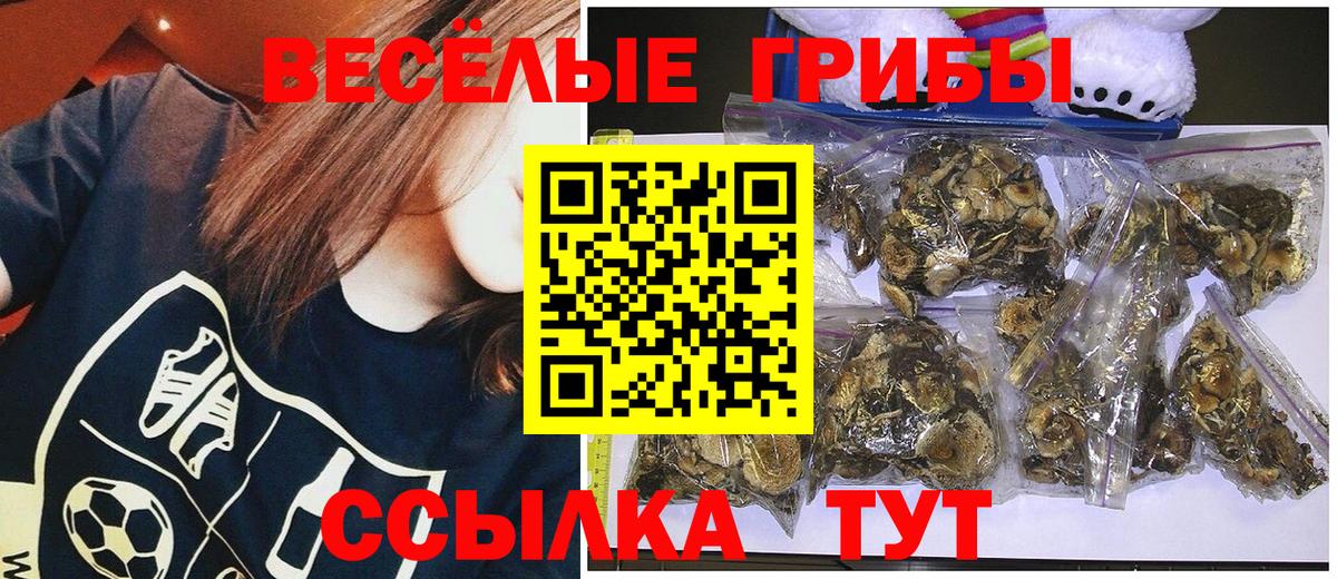 Галлюциногенные грибы Cubensis Комсомольск-на-Амуре